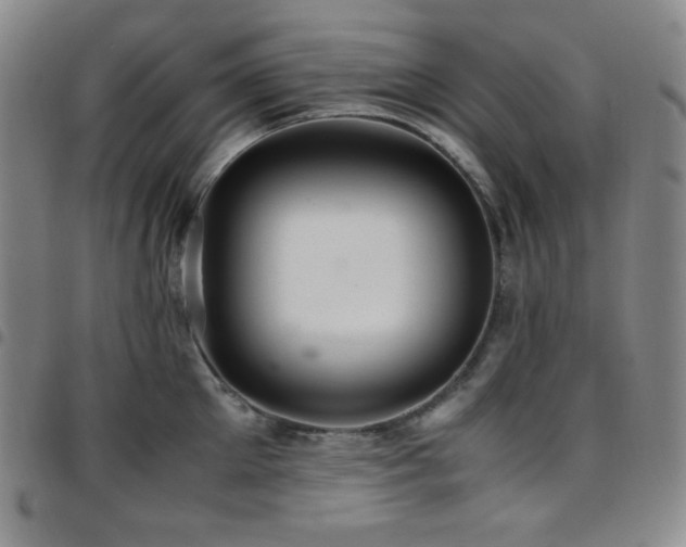 X0000097860905200803141236