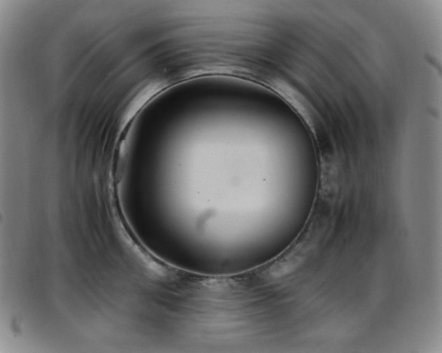 X0000097860906200803141236