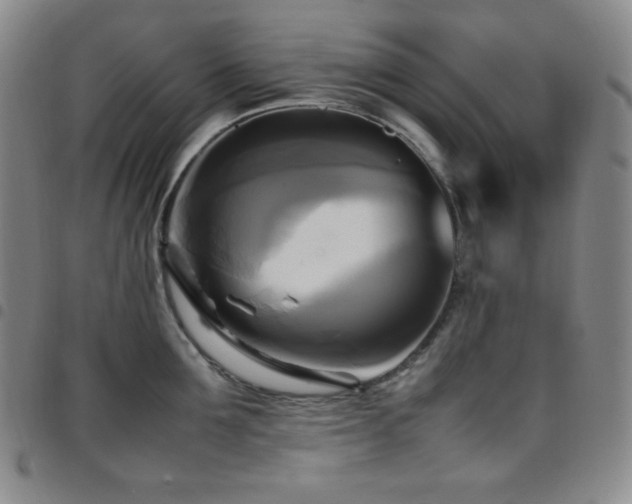 X0000097860907200803141236