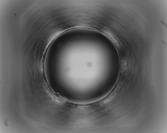 X0000097860908200803141236