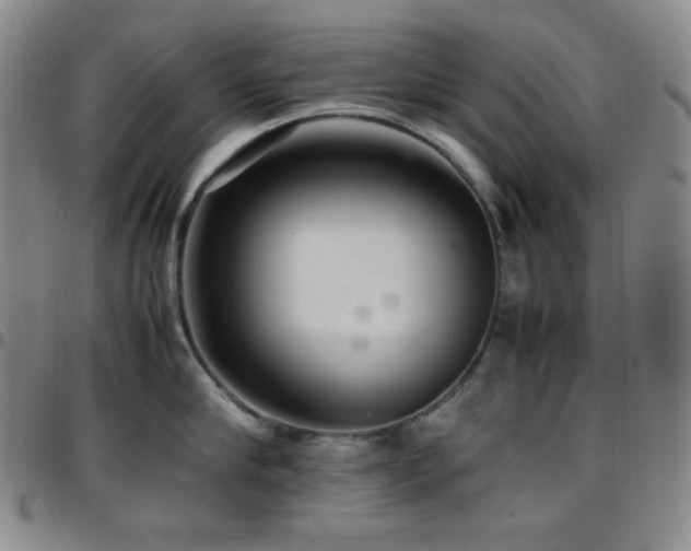 X0000097860910200803141236