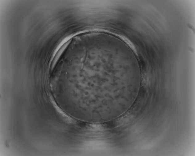 X0000097860911200803141236