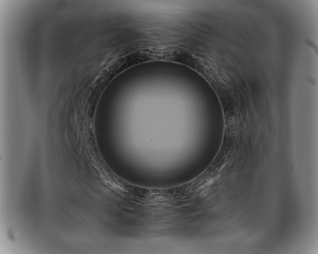 X0000097860913200803141235