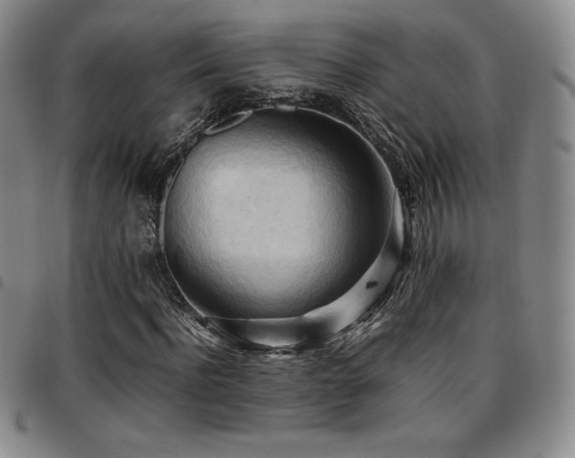 X0000097860916200803141235