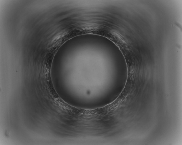 X0000097860917200803141235