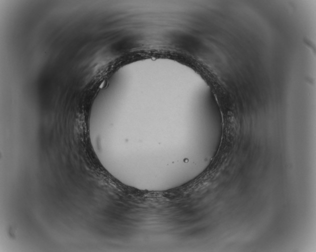 X0000097860918200803141235