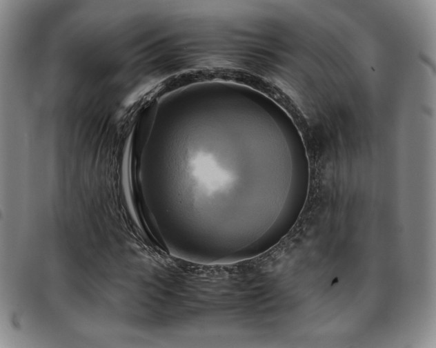 X0000097860919200803141235