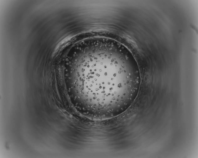 X0000097860920200803141235