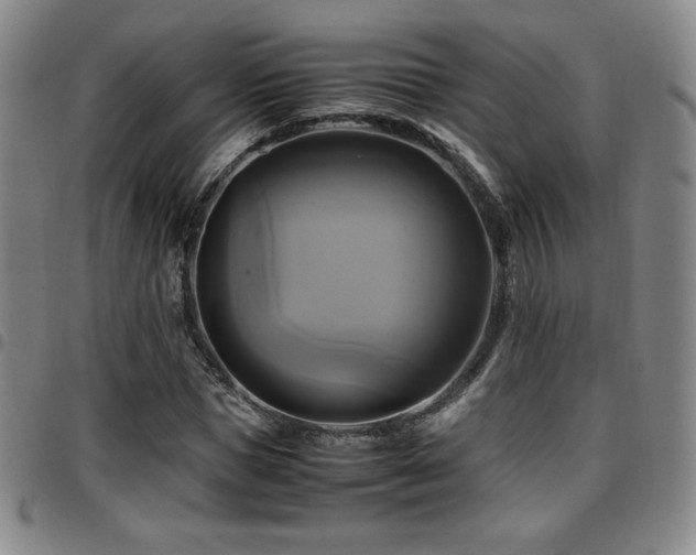 X0000097860921200803141235