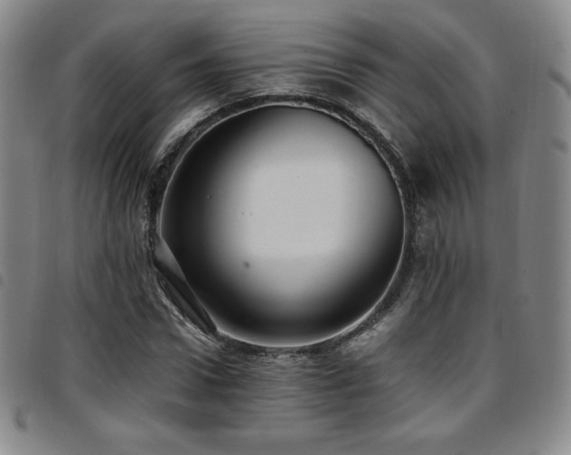 X0000097860922200803141235