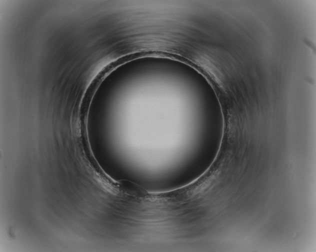 X0000097860924200803141235