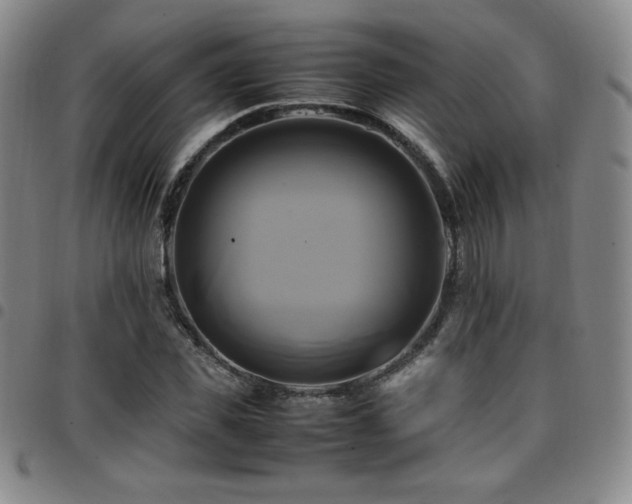 X0000097860925200803141235