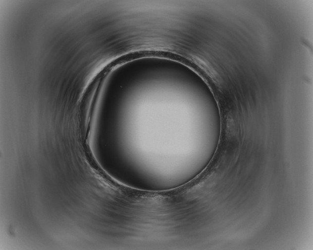 X0000097860926200803141235