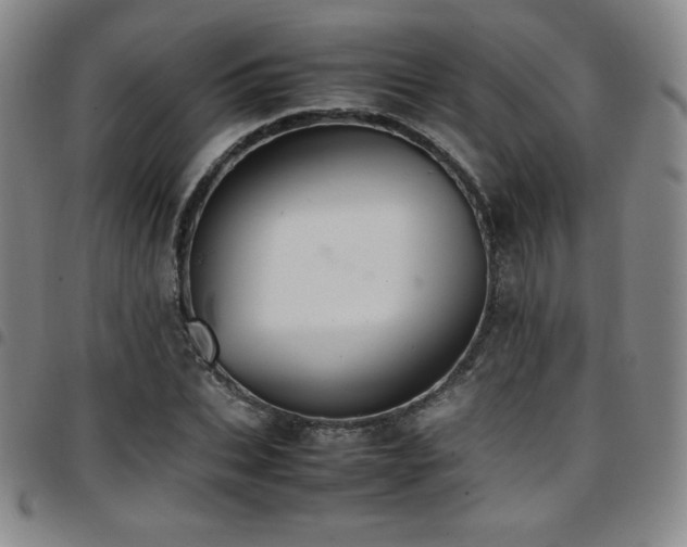 X0000097860927200803141235