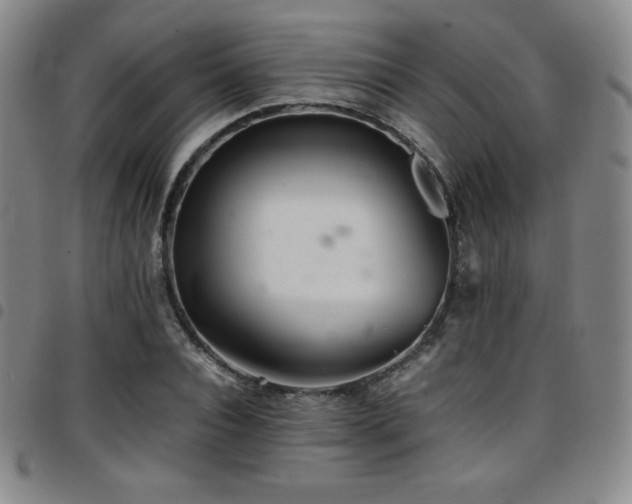 X0000097860928200803141235