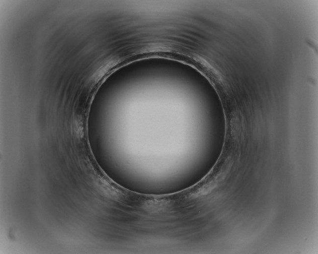 X0000097860929200803141235