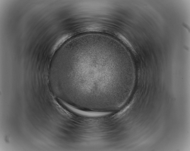 X0000097860930200803141235