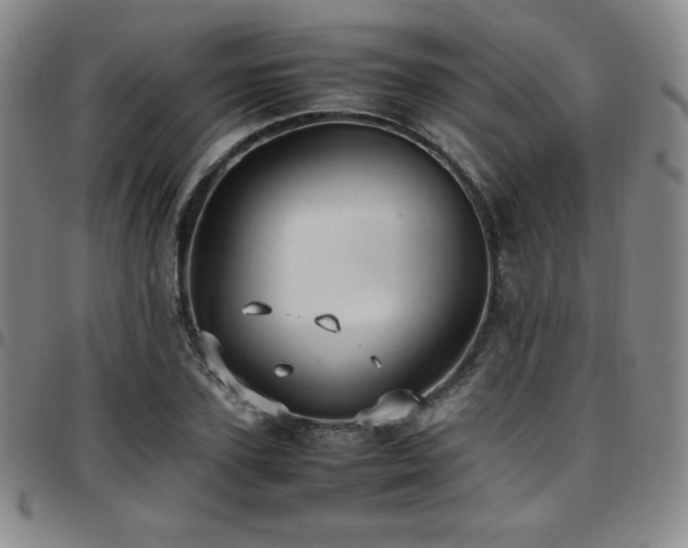 X0000097860931200803141235