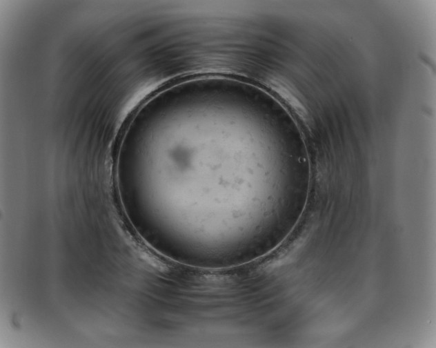 X0000097860933200803141235