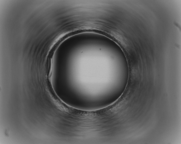 X0000097860934200803141235