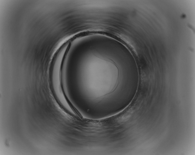 X0000097860935200803141235