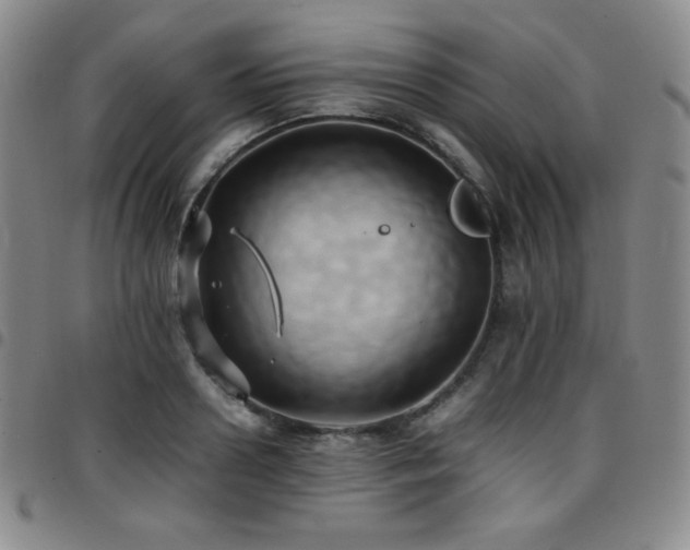 X0000097860938200803141235