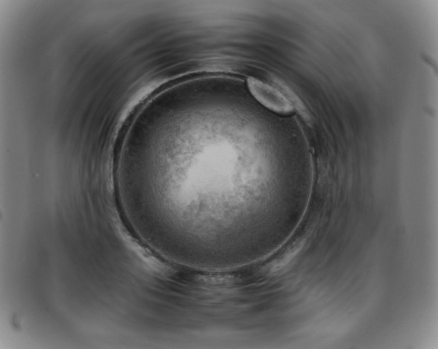 X0000097860939200803141235