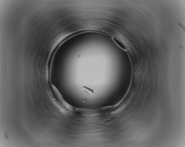 X0000097860940200803141235