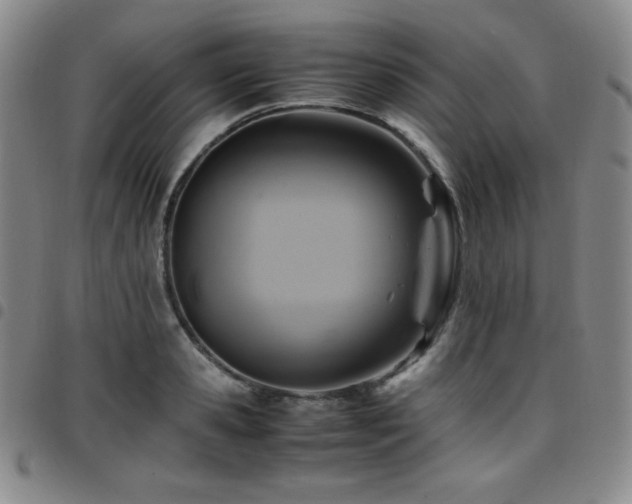 X0000097860941200803141235