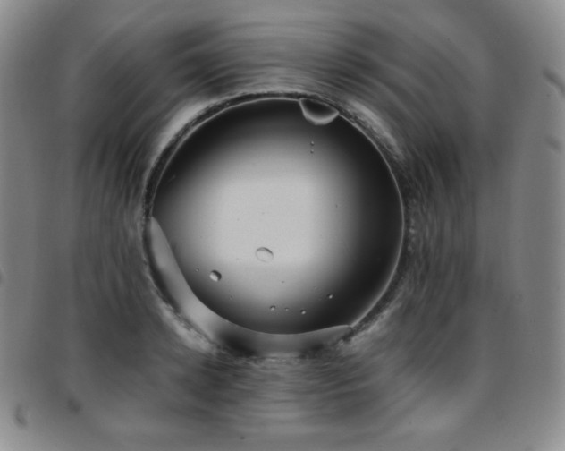 X0000097860942200803141235