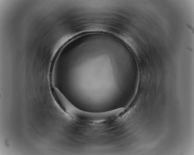 X0000097860943200803141235