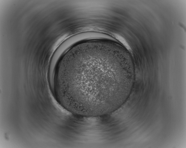 X0000097860946200803141235