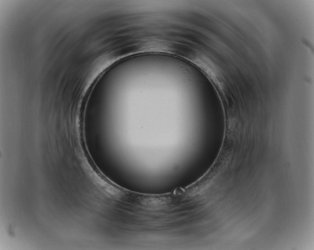 X0000097860947200803141235