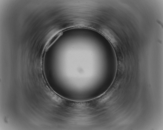 X0000097860948200803141235