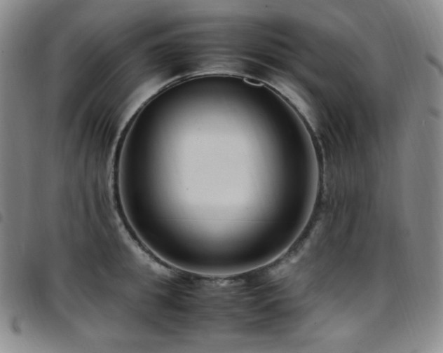 X0000097860949200803141235