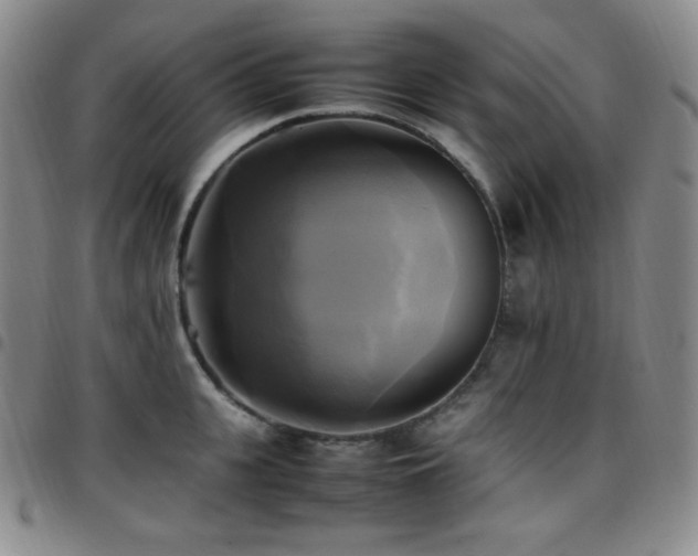 X0000097860951200803141235