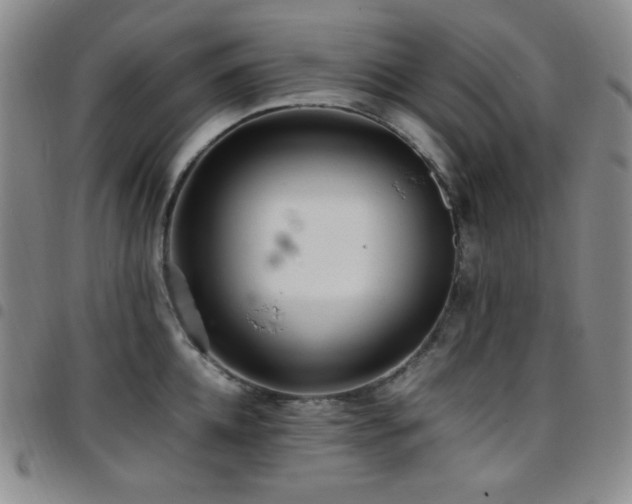 X0000097860952200803141235