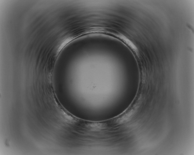 X0000097860953200803141235