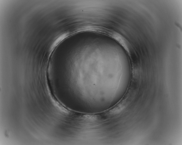 X0000097860954200803141235