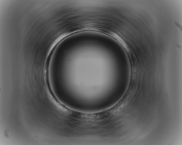 X0000097860955200803141235