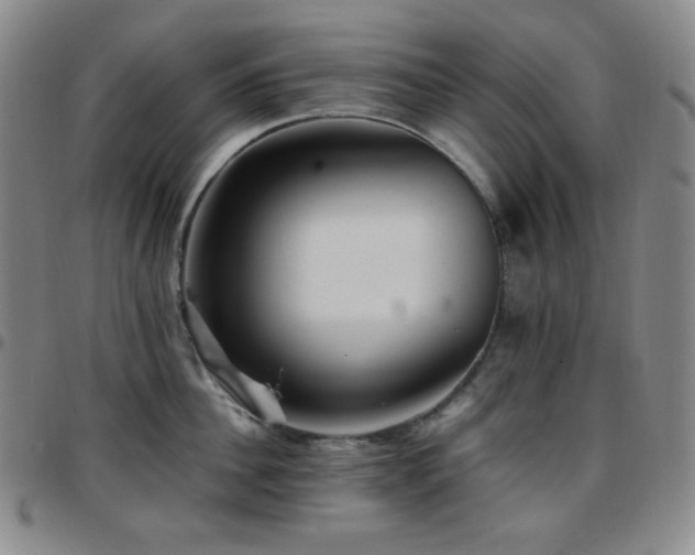 X0000097860956200803141235