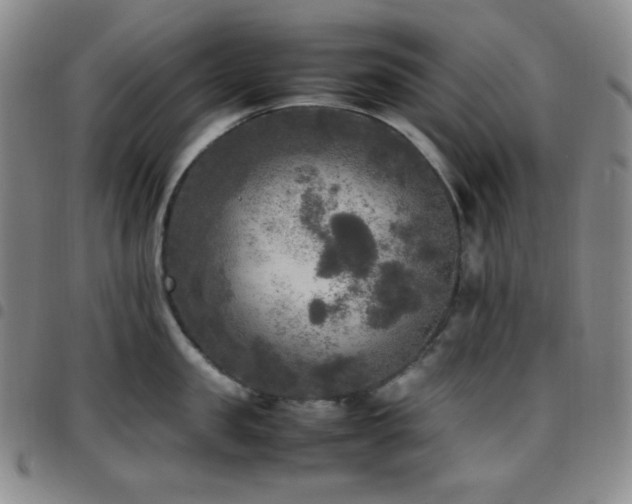 X0000097860957200803141236