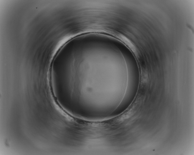 X0000097860958200803141236