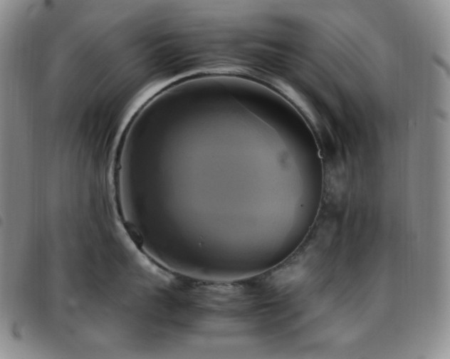 X0000097860959200803141236