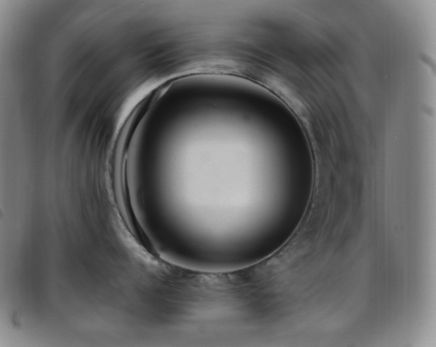 X0000097860960200803141236