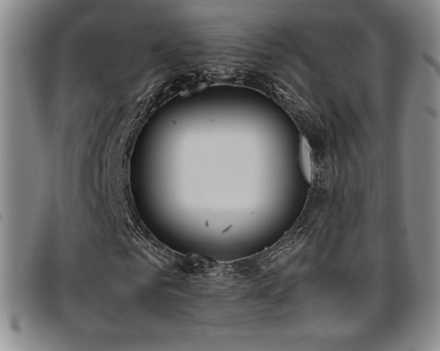 X0000097860961200803141235