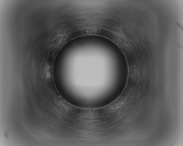 X0000097860962200803141235