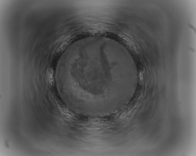 X0000097860963200803141235