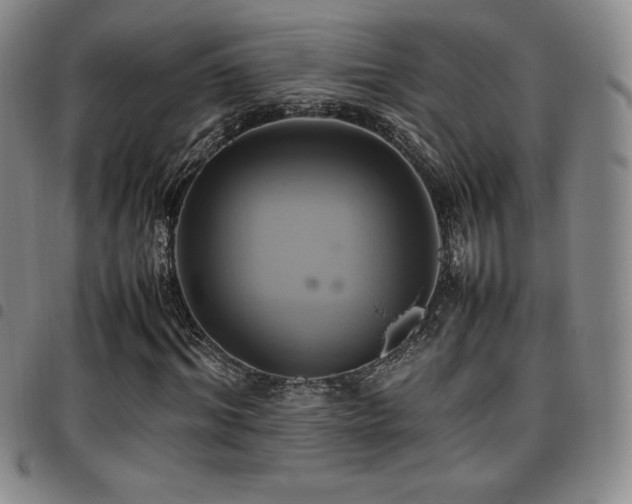 X0000097860964200803141235