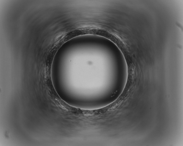 X0000097860965200803141235